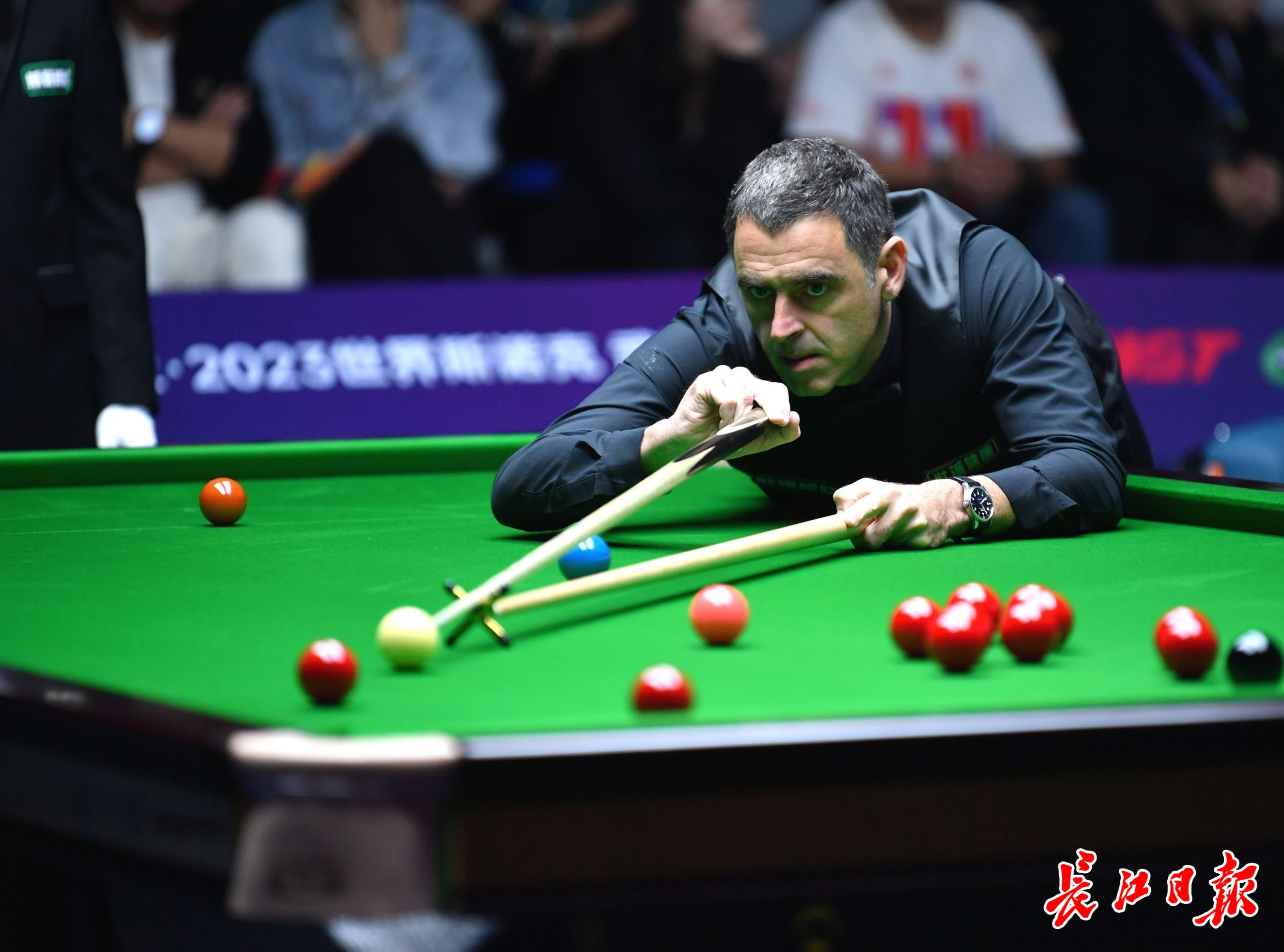 了显著的技 了显著的技